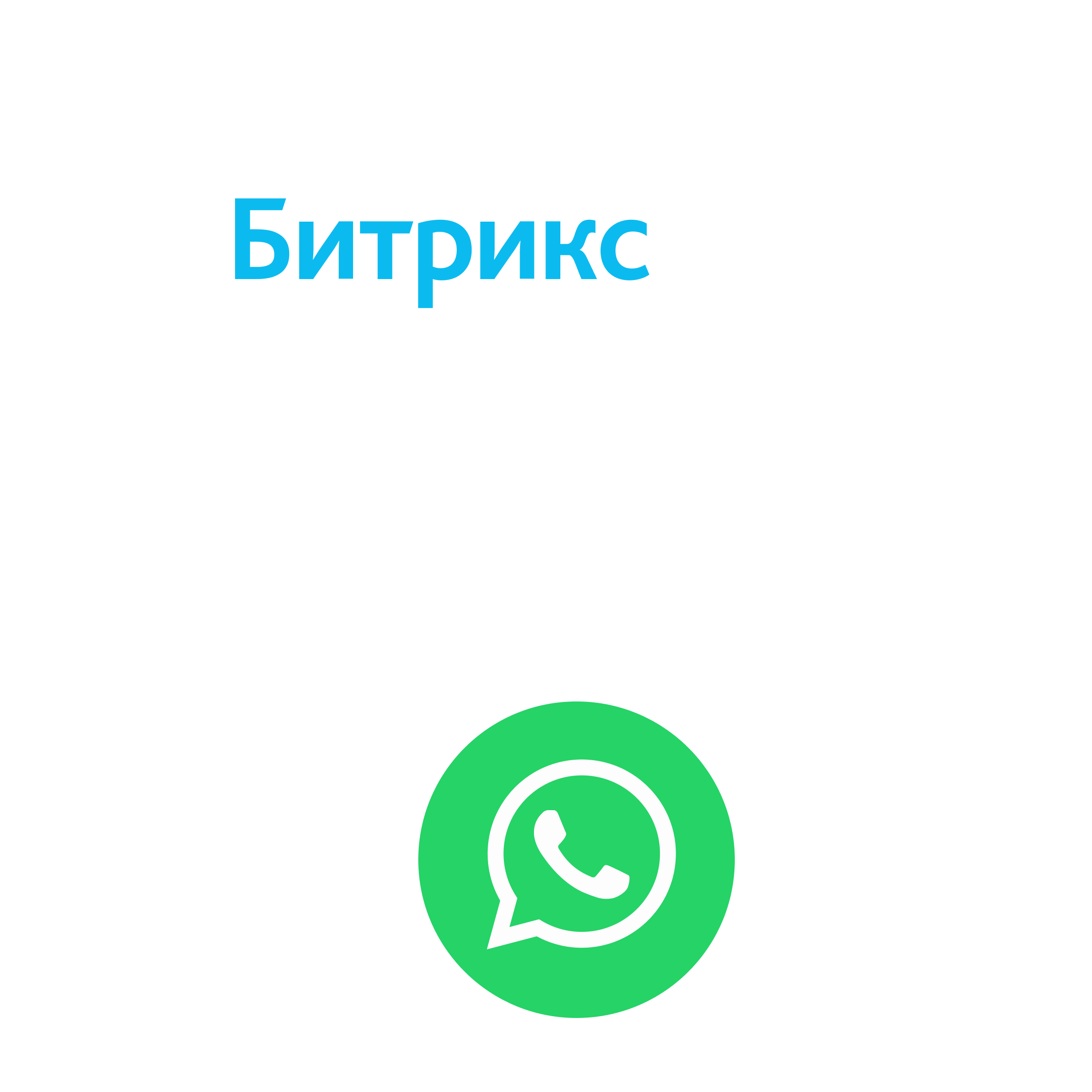 WhatsApp и Битрикс24 интеграция, подключение Ватсап к Bitrix24